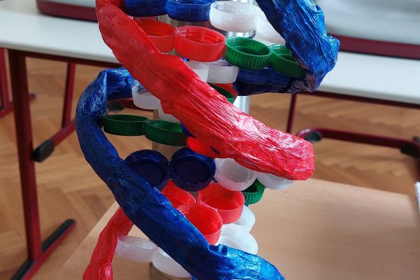 Krásný model dvoušroubovice DNA od Elen Jujnović