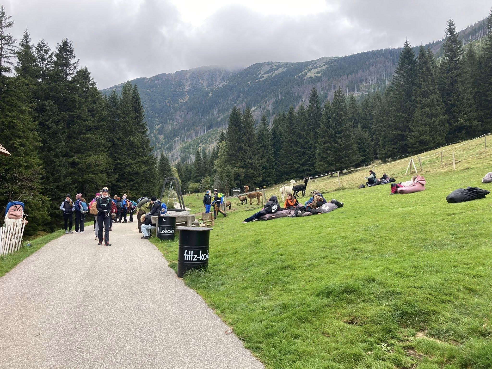 556072391 1307150397866866 6800881029325787895 n