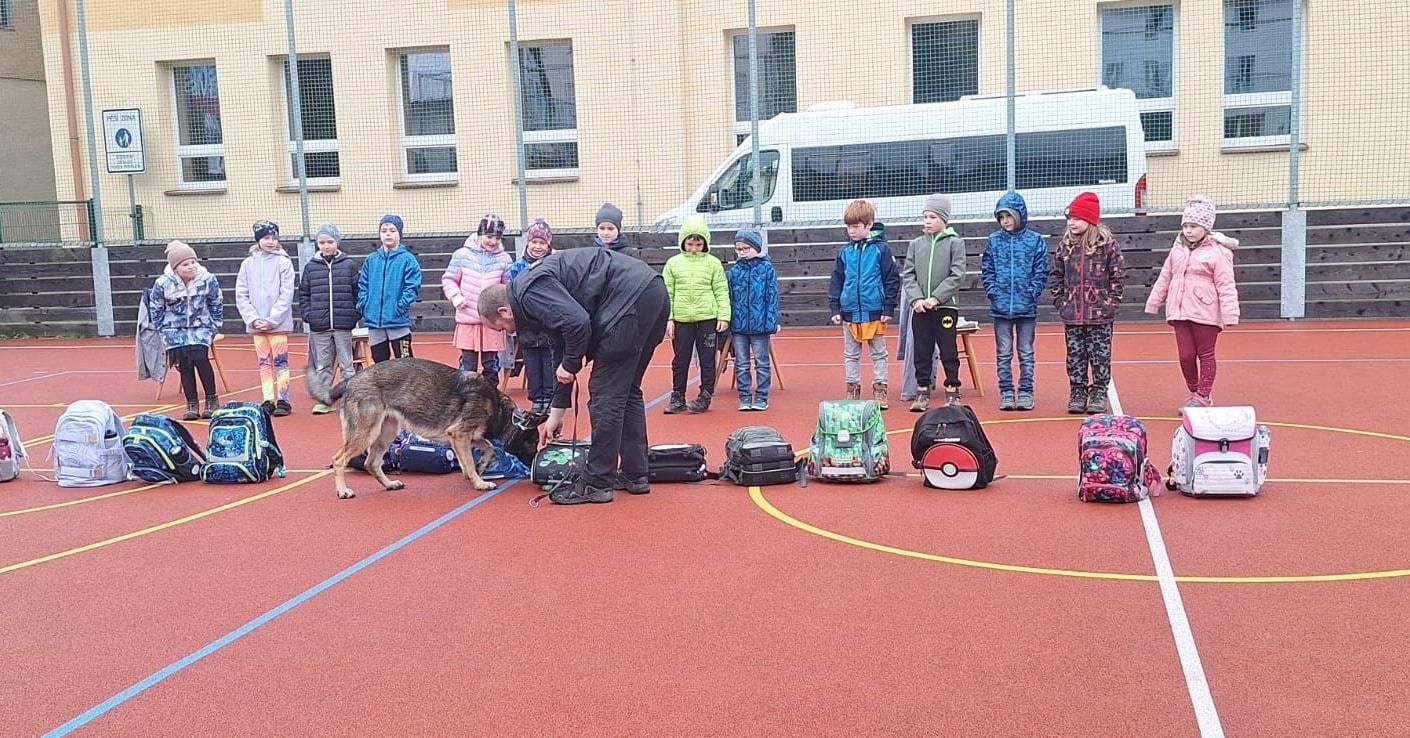 569394545 1329045509010688 559183267661472229 n