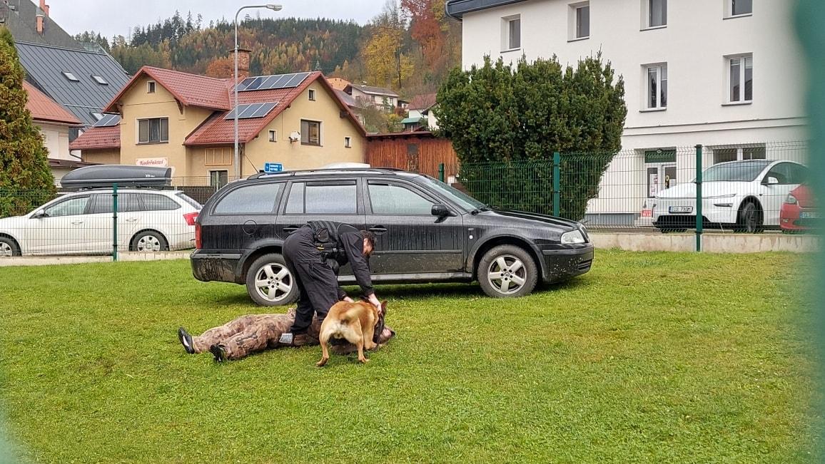 571051846 1329046932343879 4259037455940223109 n